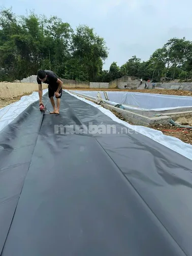 Bạt lót hồ, bạt lót ao, bạt nhựa HDPE, bạt nhựa giá tốt