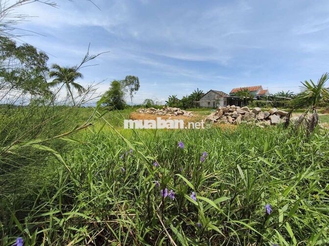 🏡 Đất Đẹp Xây Nhà – Sổ Hồng Chính Chủ – Cần Bán Gấp