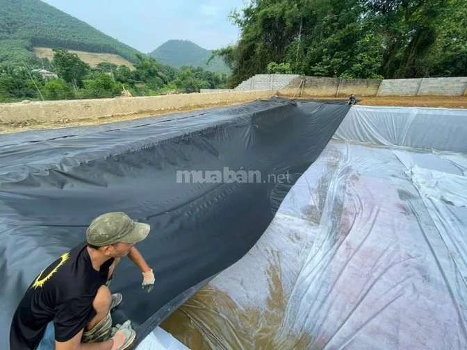Bạt lót hồ, bạt lót ao, bạt nhựa HDPE, bạt nhựa giá tốt
