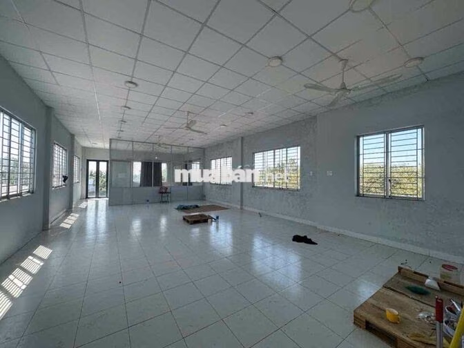 🔴 CHO THUÊ KHO XƯỞNG PHƯỚC LÝ GIÁ TỐT HÌNH ẢNH 100%