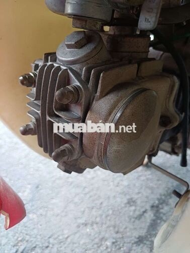 dalim  Cúp 50cc 2022 Đỏ Trắng Zin êm bán hoặc gl