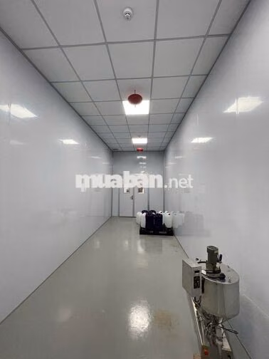 SANG NHƯỢNG TOÀN BỘ XƯỞNG SẢN XUẤT MỸ PHẨM