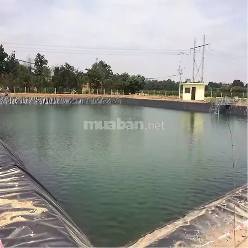 Bạt lót ao hồ, màng chống thấm HDPE, màng lót nhựa đen xanh 