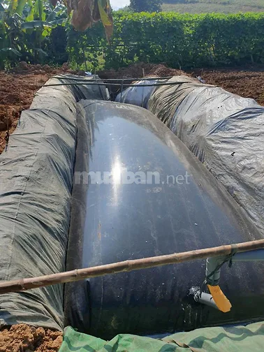 Bạt lót ao hồ, màng chống thấm HDPE, màng lót nhựa đen xanh 