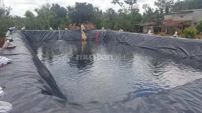 Bạt lót ao hồ, màng chống thấm HDPE, màng lót nhựa đen xanh 