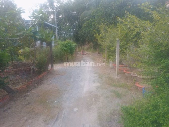 [CHÍNH CHỦ BÁN]ĐẤT VƯỜN THỔ CƯ 10x30MP. LONG HOA–BAO TRỌN GÓI SỔ SÁCH