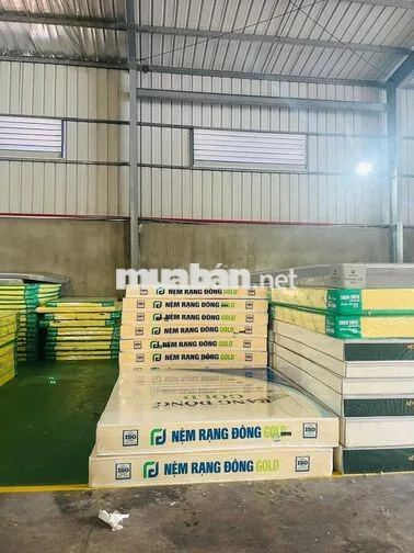TÀI XẾ GIAO NHẬN B2 TRỞ LÊN NHẬN VIỆC NGAY