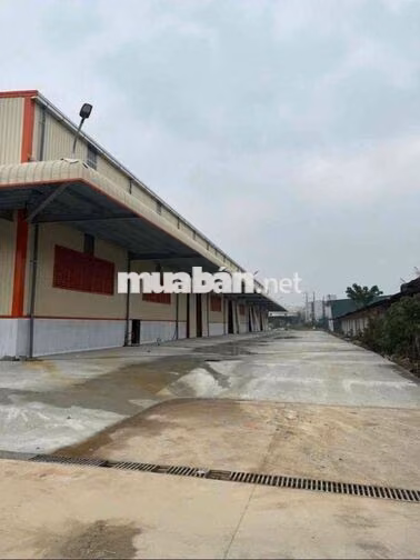 KHO XƯỞNG GIÁ TỐT ( 7.000m2 ) TRẦN ĐẠI NGHĨA