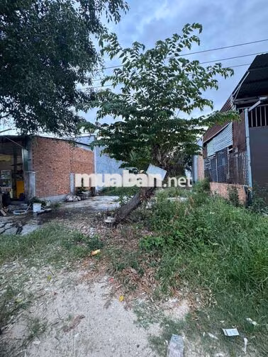 Kẹt tiền cần ra đi đất ngã tư Cam Hiệp phía Đinh Tiên Hoàng