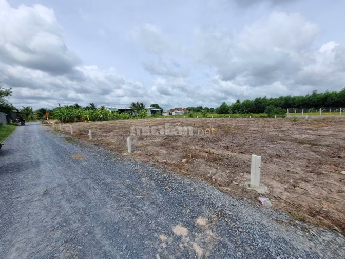 5x35 full đất ở đô thị phường Gò Dầu. Đường thông. 499tr 
