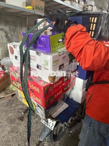 Tuyển sale chốt đơn,soạn hàng trái cây bao ăn ở