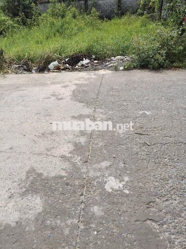 ĐẤT THỔ CƯ 10 X19m MẶT TIỀN 8m GIÁ NGỘP 5TY5TR