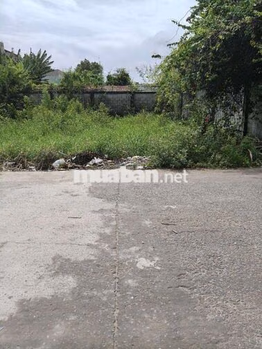 ĐẤT THỔ CƯ 10 X19m MẶT TIỀN 8m GIÁ NGỘP 5TY5TR