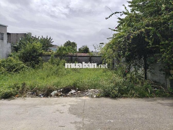 ĐẤT THỔ CƯ 10 X19m MẶT TIỀN 8m GIÁ NGỘP 5TY5TR