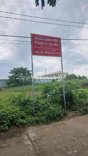 Công ty đấu giá hợp danh Sao Việt 