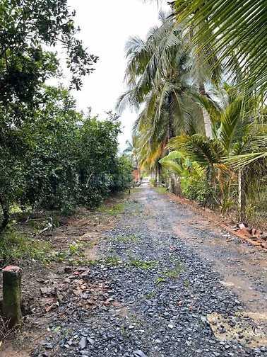 Bán Đất vườn, Long Hưng, Đồng Tháp. 17,56m x 26,80m = 474m, Đường Ôtô