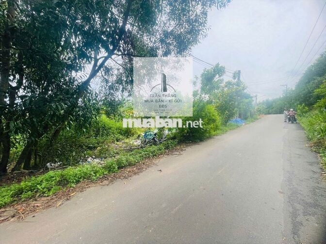 Bán đất ở xã xuân sơn, Tp Hồ Chí Minh ( Xã suối rao cũ)