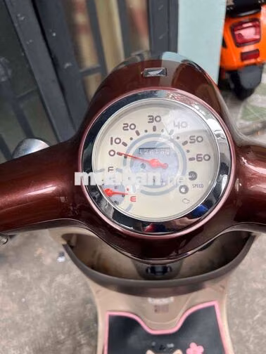 Honda Scoopy 2023 Nâu 42.616 km