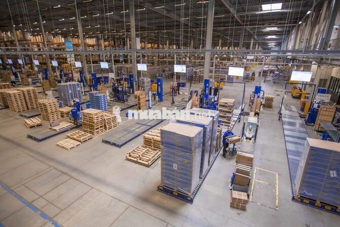 TUYỂN CÔNG NHÂN KHO SAMSUNG ĐÌNH VŨ - ĐẾN 65 TUỔI