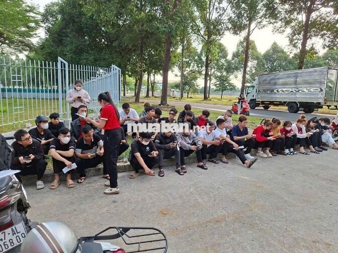 Nidec VN  Thu nhập 12 đến hơn 18 Triệu/ Tháng