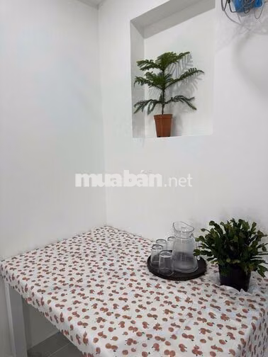 CHO THUÊ CĂN HỘ 2 PN SIÊU XINH KHU VỰC PHƯỜNG 9 VIEW RỪNG THÔNG
