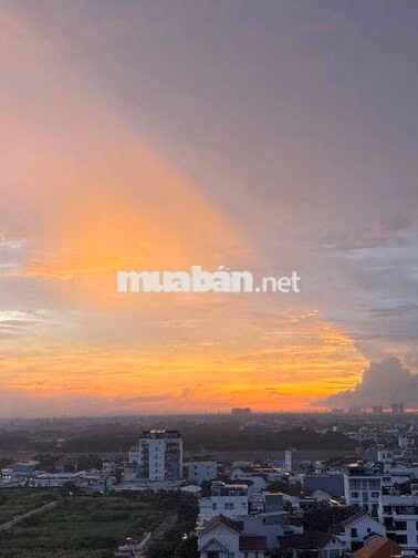 Celesta Rise - Bán căn hộ 1PN1WC - 4,3 tỷ - Full NT - Nguyễn Hữu Thọ