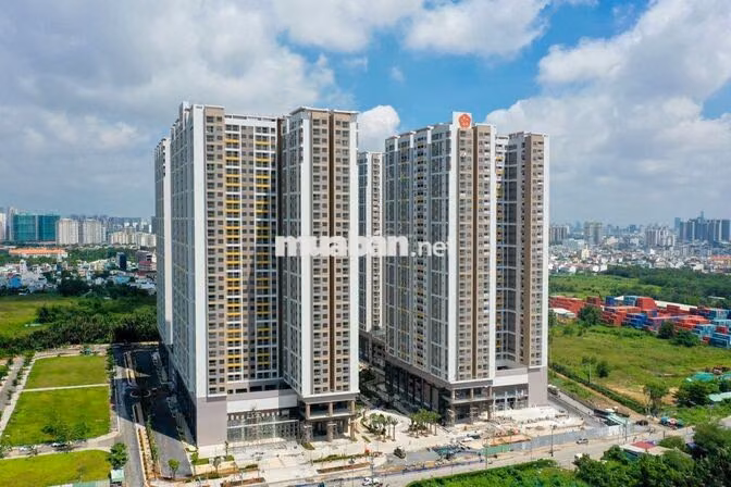 Cho thuê căn hộ 1-2-3PN Q7 Saigon Riverside Số 4 Đào Trí, nhà mới đẹp