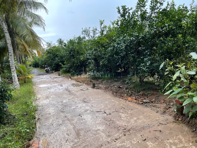 Bán Đất Long Hưng, Đồng Tháp. 4,55m x 27,10m=1124m, đường ôtô, 280Tr