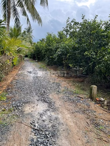 Bán Đất vườn, Long Hưng, Đồng Tháp. 17,56m x 26,80m = 474m, Đường Ôtô