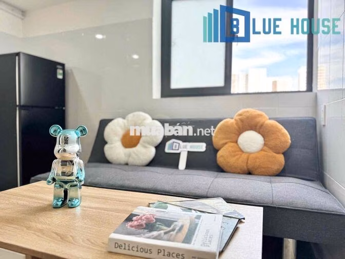 cho thuê chdv - duplex siêu thoáng - full nt - Trục Hoà Bình