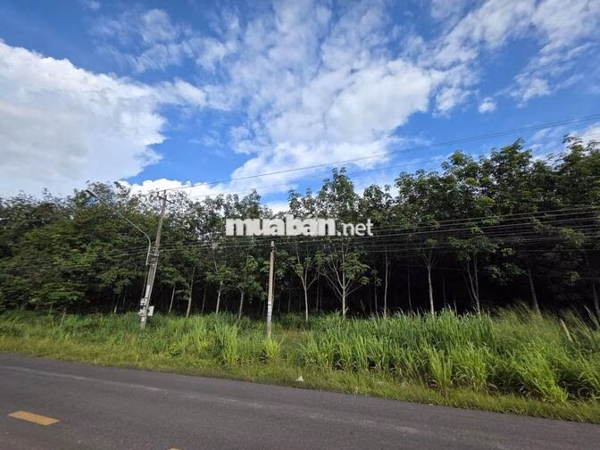 [NGÂN HÀNG THANH LÝ] - Bán đất MTĐ DT749 GIÁ RẺ