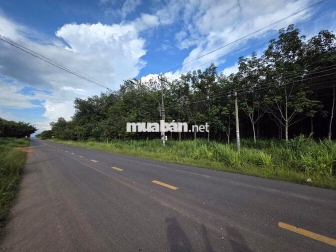 [NGÂN HÀNG THANH LÝ] - Bán đất MTĐ DT749 GIÁ RẺ