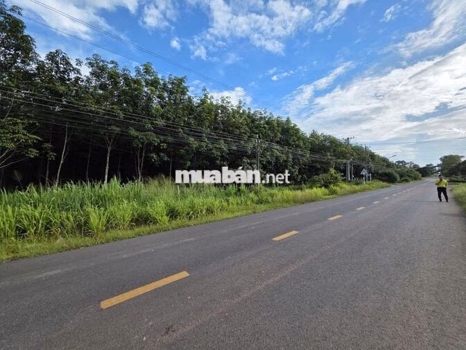 [NGÂN HÀNG THANH LÝ] - Bán đất MTĐ DT749 GIÁ RẺ