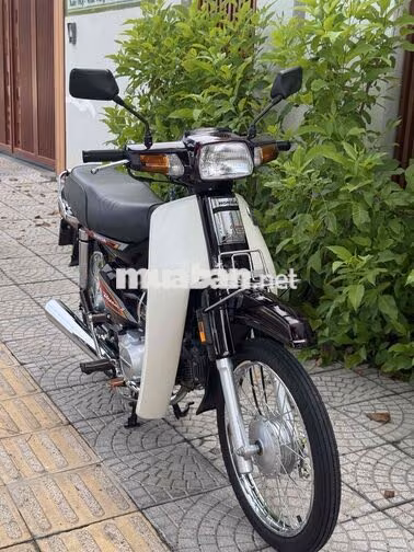 Honda Dream Thái máy rin dọn new 1996