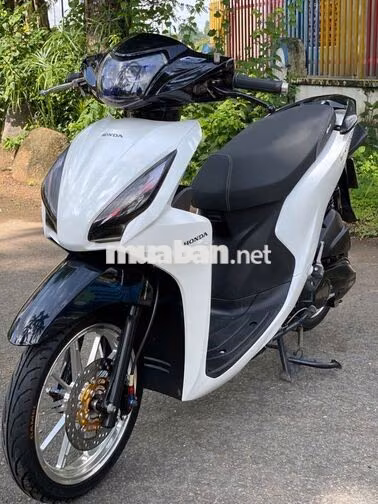 vision 2018 máy zin kiểng 