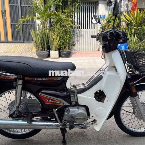 Honda Dream Thái 1998 Tím