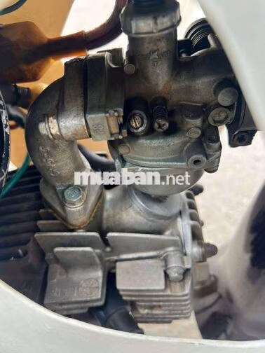Honda Dream Thái 1998 Tím