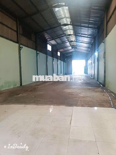 kho 8×50 đường xe container không cấm giờ 