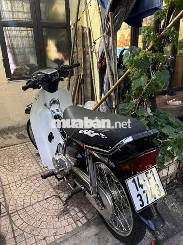 Honda Dream Thái Đen, Trắng