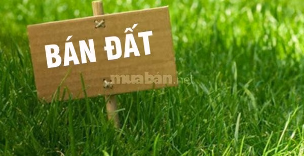 🌿 GREEN PARK KIM ĐÍNH – HƠN 100M², MẶT TIỀN 5M | GIÁ 7 TỶ