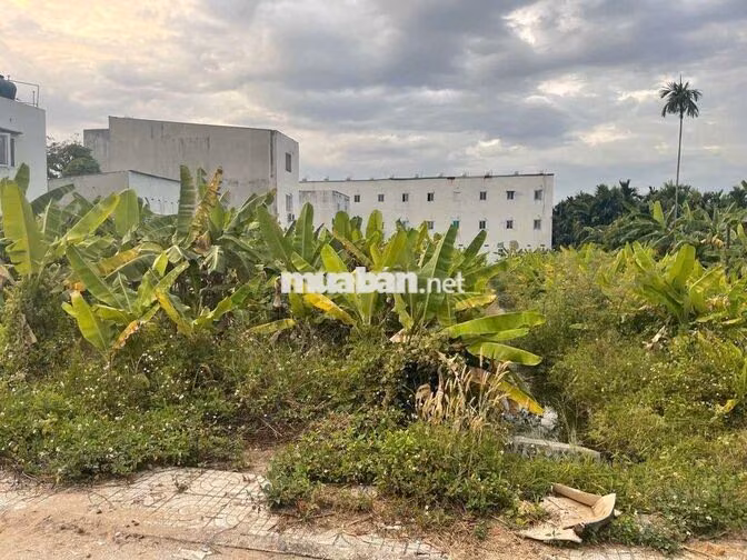 đất phân lô 1570m thổ cư DT 27x58 hẻm 6m giá rẻ SHR