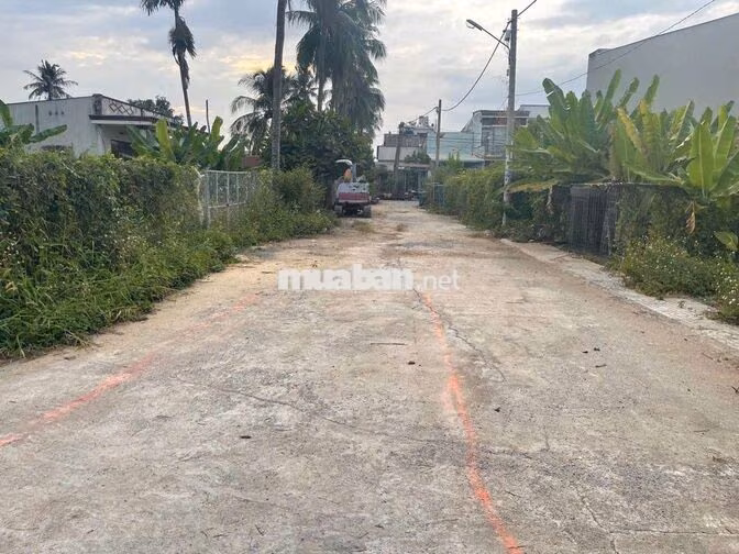 đất phân lô 1570m thổ cư DT 27x58 hẻm 6m giá rẻ SHR