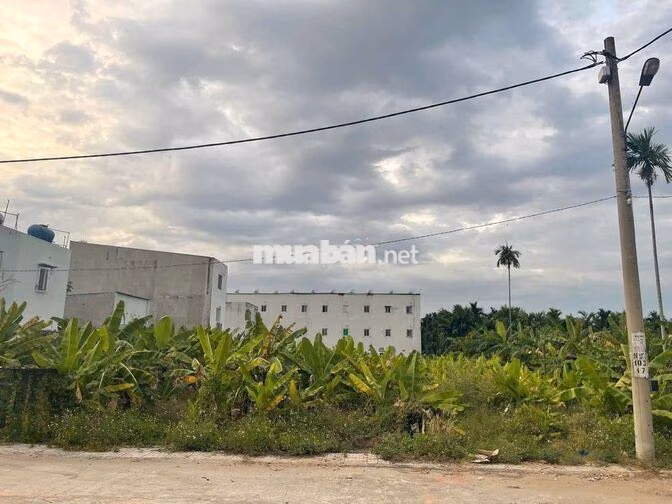 đất phân lô 1570m thổ cư DT 27x58 hẻm 6m giá rẻ SHR
