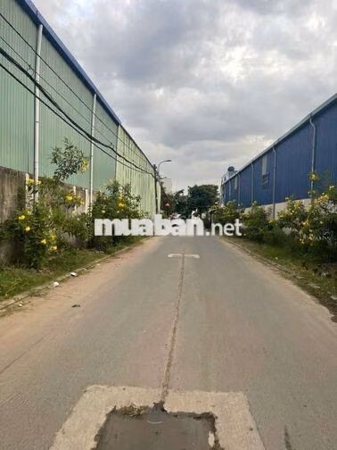 đất phân lô 1570m thổ cư DT 27x58 hẻm 6m giá rẻ SHR