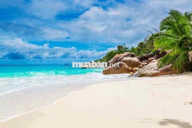 📍 Sót Lại Căn 2 Tầng Mặt Tiền Lê Tấn Trung GIÁ 10Triệu 📍