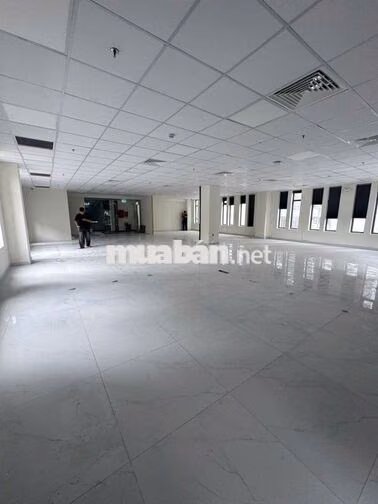 CHO THUÊ TOÀ VĂN PHÒNG TRUNG TÂM KHU K300 TÂN BÌNH 