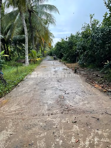 Bán Đất Thạnh Hòa, Long Hưng, Đồng Tháp. 9,10mx27m= 248m, Đường ôtô 