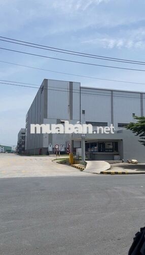 🚨 LƯƠNG NGÀY đóng gói - KHU CN XUYÊN Á - ĐỨC HÒA🚨 