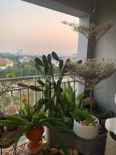 Cần Bán Chung cư CT18 KĐT Việt Hưng 97m2 (căn góc)