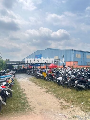 LAZADA TUYỂN SOẠN HÀNG LƯƠNG THỨ 5 HÀNG TUẦN